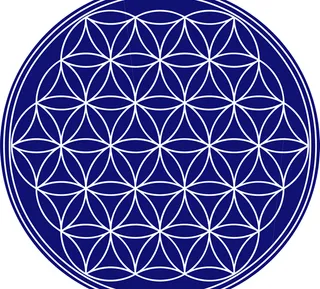 The_flower_of_lif...