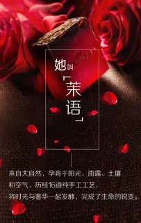 H5动画素材手机端动画海报