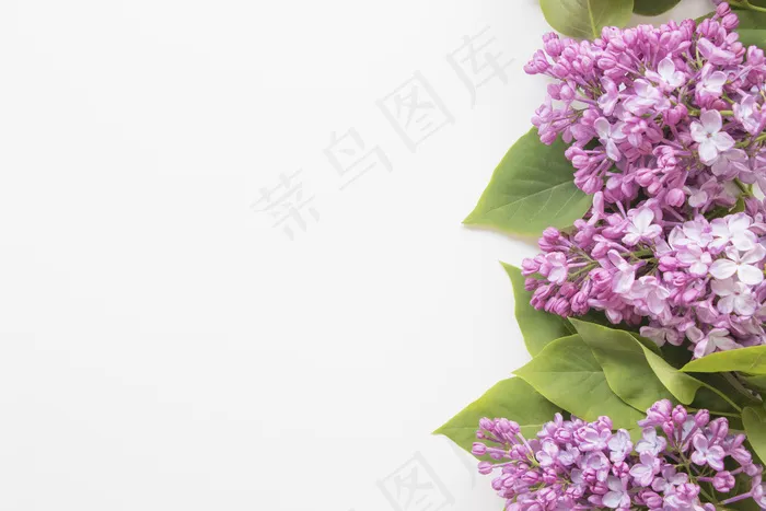 简约小清新文艺风插花静物摆拍背景