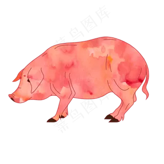 水彩风格猪PNG水彩风格猪PNG