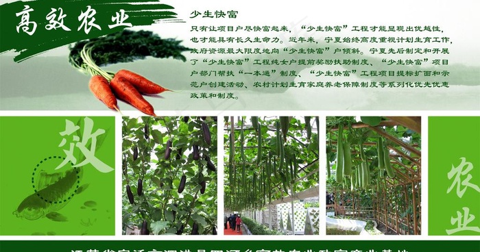 高效农业图片psd模版下载
