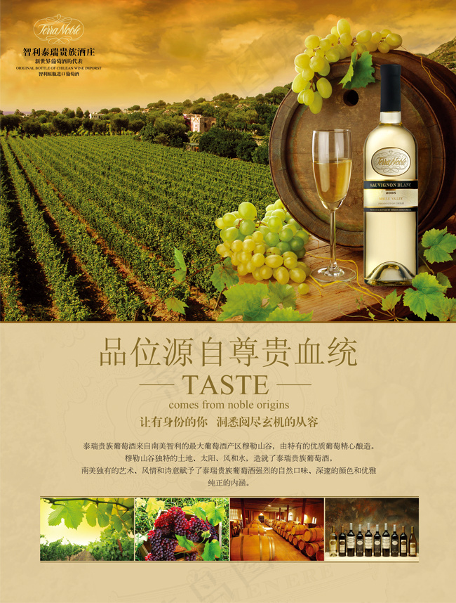 贵族白葡萄酒海报