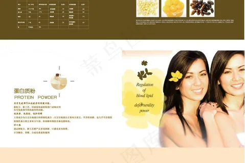 天士力蛋白粉宣传折页图片