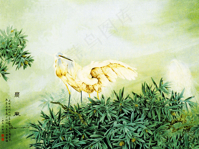 高清国画素材工笔花鸟之晨风