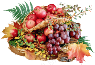 多种水果集合免扣PNG素材