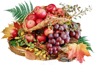 多种水果集合免扣PNG素材