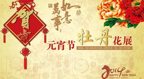 元宵节牡丹展图片 元宵节牡丹展图片