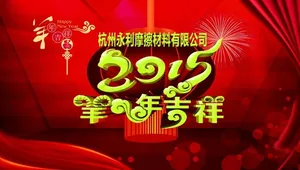 2015年会