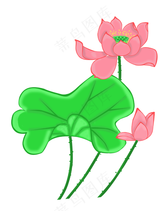 莲花2020-6-16