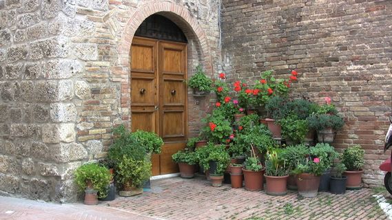 意大利圣吉米尼亚诺植物门股票视频