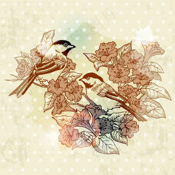 欧式复古的花鸟painting00...eps,ai矢量模版下载