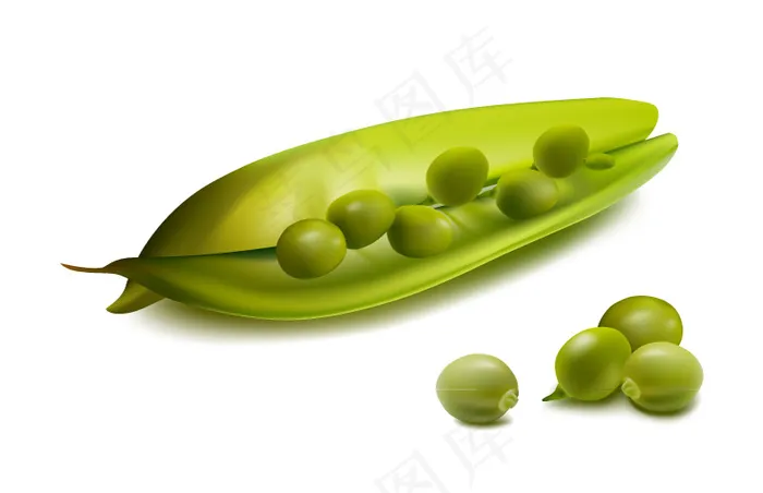 新鲜豌豆矢量素材eps,ai矢量模版下载