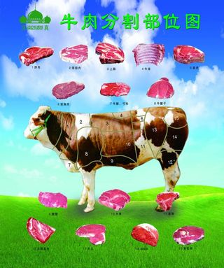 牛肉分割图