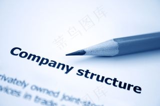 公司结构
