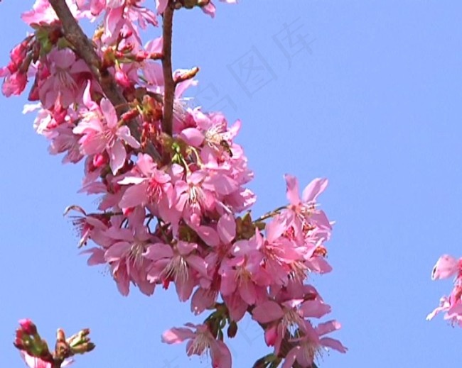 视频剪辑