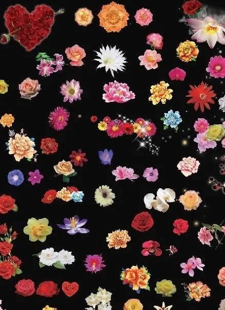 各种各样的花图片(5906X7874(DPI:100))psd模版下载