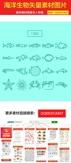 手绘海洋生物矢量图
