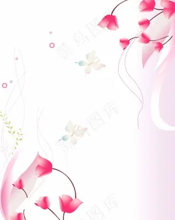 花瓣素材 花瓣素材