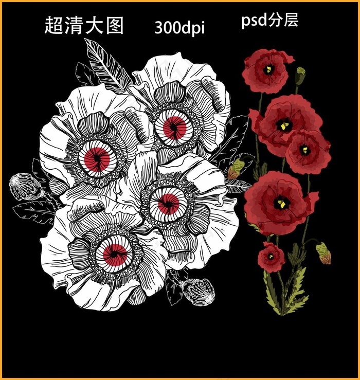 罂粟花