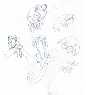 青蛙 动物图片 青蛙 动物图片