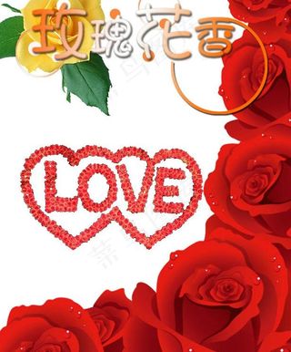 玫瑰花香图片