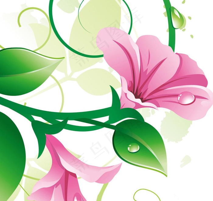 鲜花绿叶背景无框画图片