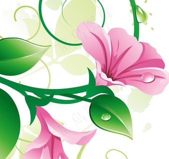 鲜花绿叶背景无框画图片