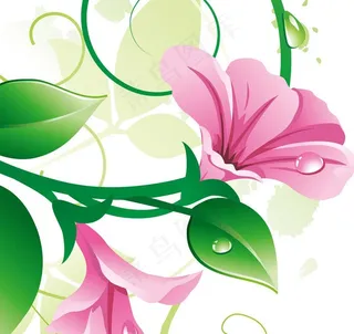 鲜花绿叶背景无框画图片
