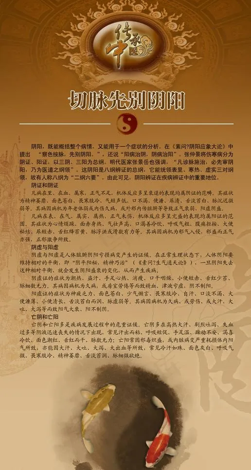 中医阴阳图片