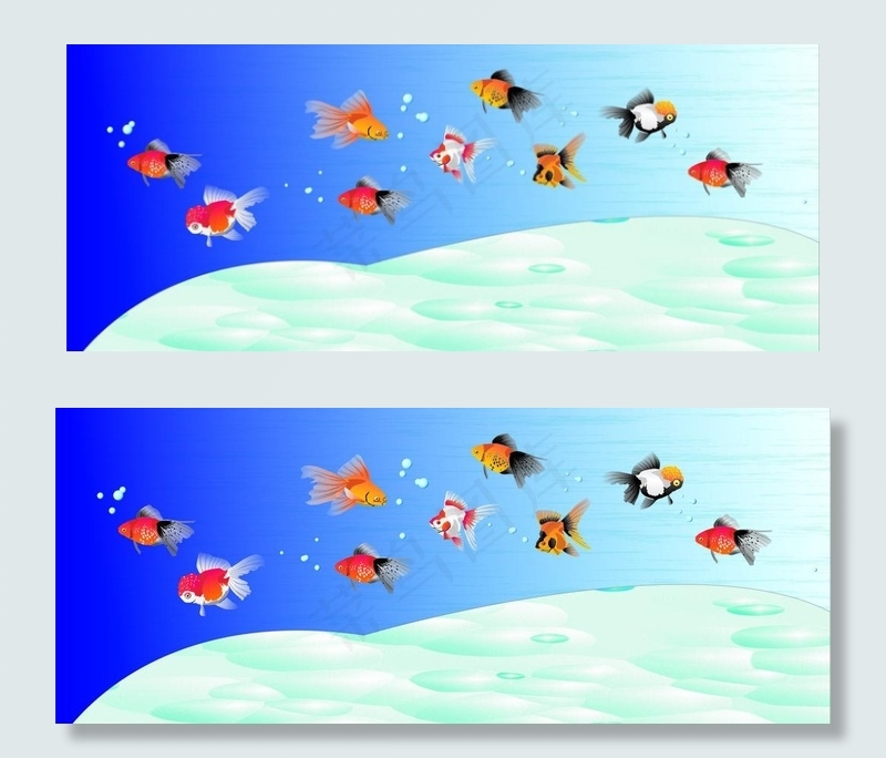 水族箱中游动的金鱼图片