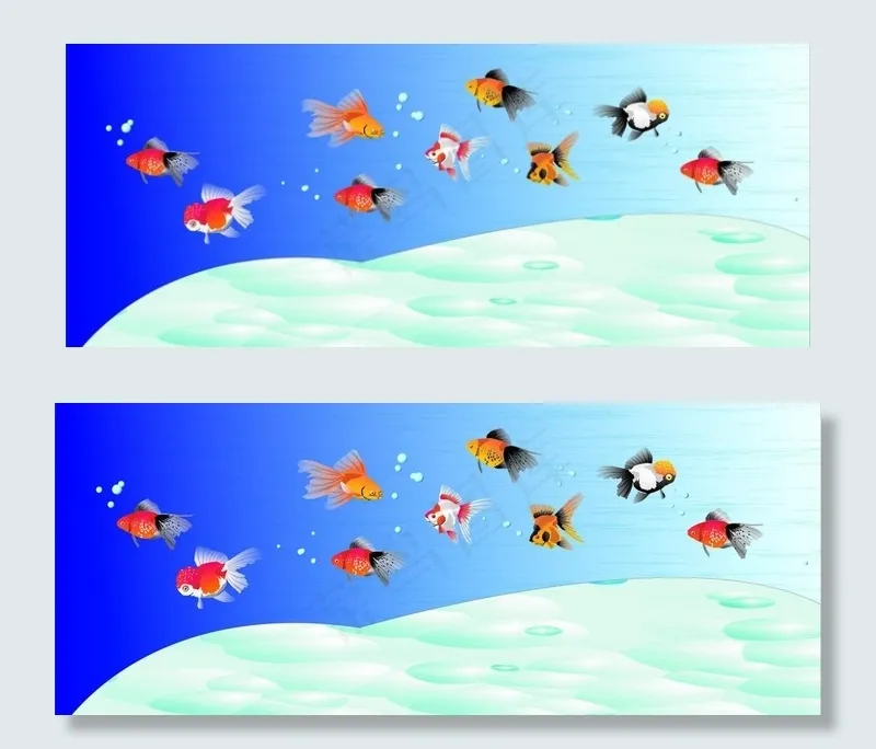 水族箱中游动的金鱼图片cdr矢量模版下载