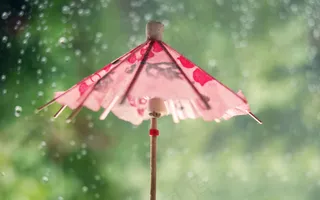 雨伞