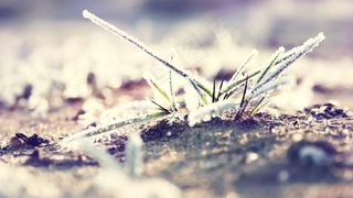 2019清新可爱少女写真会声会影模...