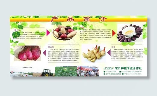薯类农产品简介喷绘布图片