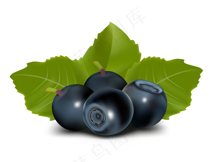 水果，蓝莓，梨，开心果，栗子向量