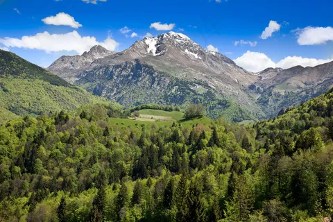 天空下的高山和树林 天空下的高山和树林
