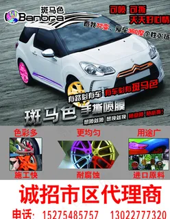 斑马色 汽车手撕喷漆 图片