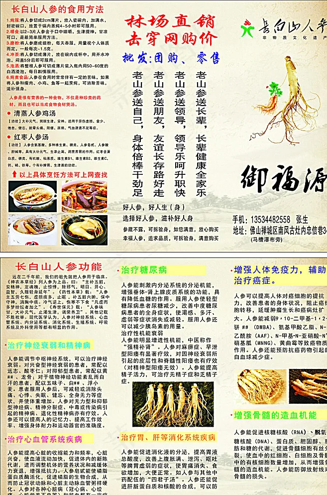 长白山人参折页宣传单图片(210X297)cdr矢量模版下载