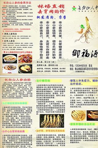 长白山人参折页宣传单图片