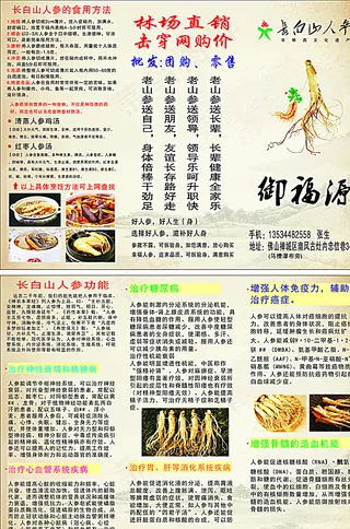 长白山人参折页宣传单图片