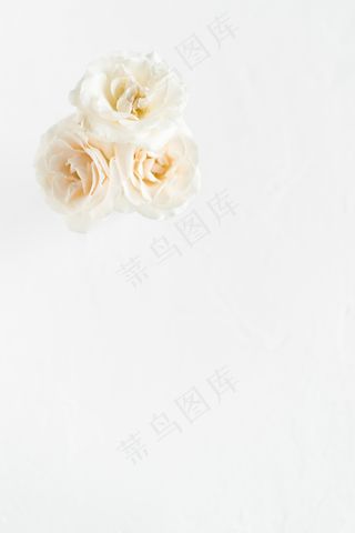 简约小清新文艺风插花静物摆拍背景