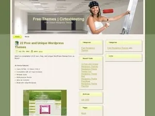 涂料可湿性粉剂