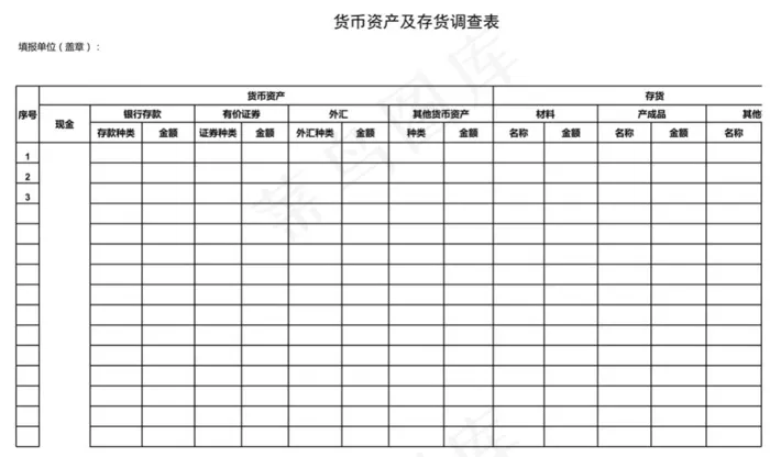货币资产及存货调查表