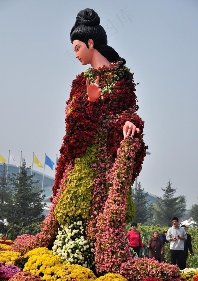 花卉图片