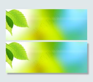 精美绿叶背景04—高清图片