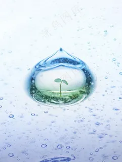 心形水珠发芽图片