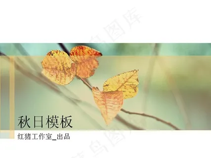 秋季树叶PPT模板
