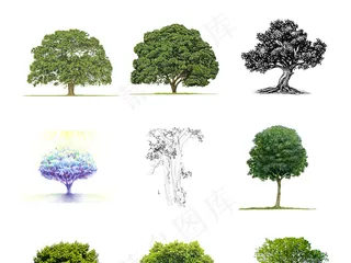 2017年绿色精品园林景观后期绿化...