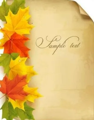 美丽的枫叶背景vector001