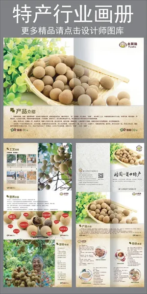 特产行业画册